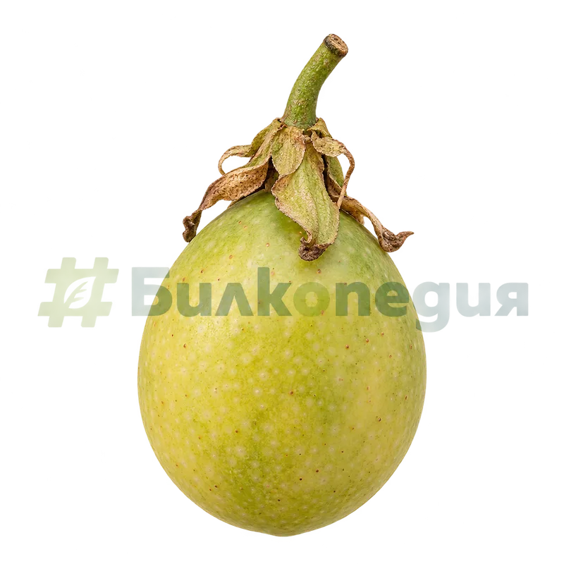 Passiflora incarnata L. - плод - яйцевиден и жълто-зелен, генерирана образователна визуализация