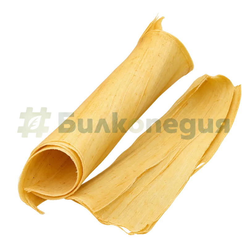 Cinnamomum verum J.Presl - прясна вътрешна кора, генерирана образователна визуализация
